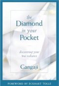 Diamond In Your Pocket by Gangaji